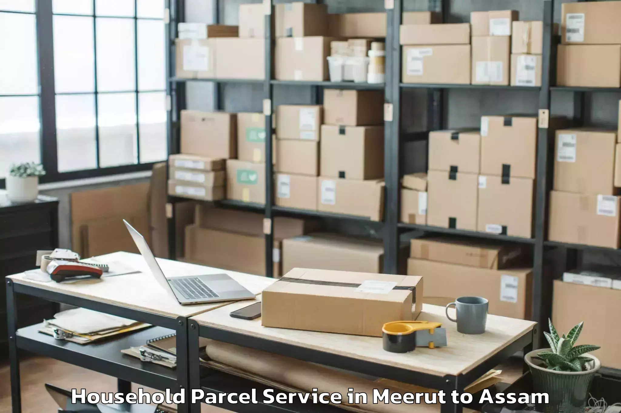 Hassle-Free Meerut to Biswanath Charali Household Parcel